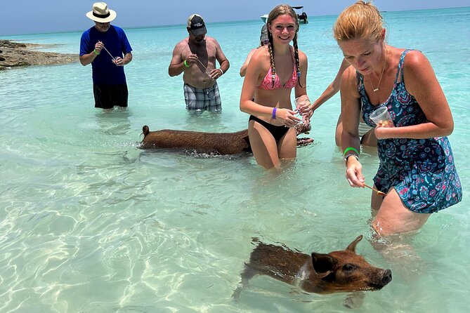 007 Private Beach Club -Swimming Pigs, Snorkeling, Lunch, Drinks - Key points before you book