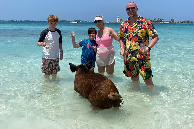 3 Islands Private Group Excursion (4hrs) - Swimming with turtles at no added cost