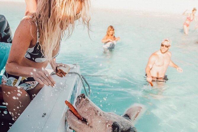 3 Islands Tour, Swim with Pigs, Turtles, Snorkelling & lunch - Rose Island combines pigs, beach time, and lunch