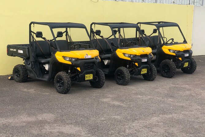4-Hour Buggy Tour of New Providence (Inclusive of water & local deserts) - Key points at a glance