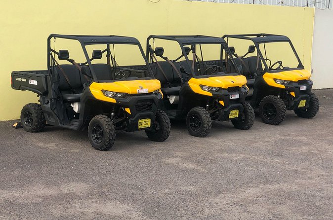 4-Hour Buggy Tour of New Providence (Inclusive of water & local deserts) - The price, group size, and extra costs
