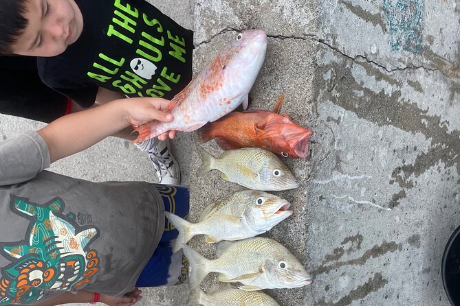 4-Hour Fishing Charter in Nassau - Key points to know before booking