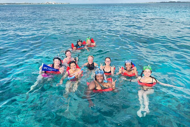 4-Island Tour Swimming Pigs, turtles, snorkeling , rose island, - The $175 price and what you receive