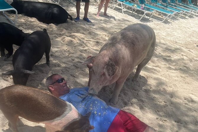 4hr Private Tour Island Hop Snorkel w/ Turtles & Sip Bahama Mamas - Green Cay and the turtle encounter