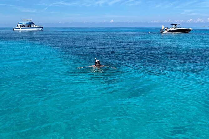 5 Hours Pigs and Turtles with Beach Stop in Bahamas - Atholl Island and the real pig encounter