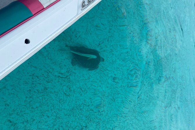 5 Hours Pigs and Turtles with Beach Stop in Bahamas - The crew can make or break the outing