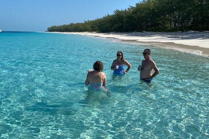 5 Hours Pigs and Turtles with Beach Stop in Bahamas - Is $275 a fair price?
