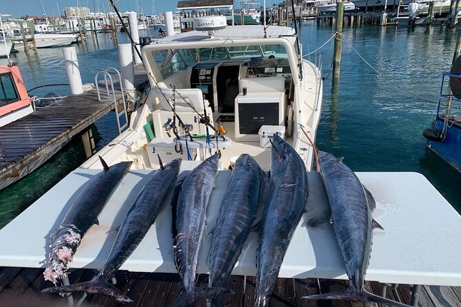 8 hours 38ft Reel Dreams Private Charter Nassau - Who gets the most value from this charter