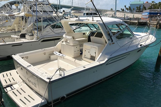 8 hours 38ft Reel Dreams Private Charter Nassau - Reef and light-tackle fishing for more action