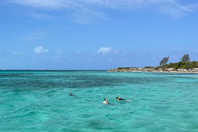 All Inclusive 4- Hours Private Charter - Snorkeling, swimming, pigs, and turtles