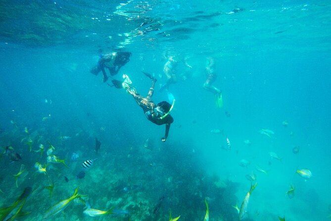 All Inclusive Half Day Sail and Snorkel - Key things to know before you book
