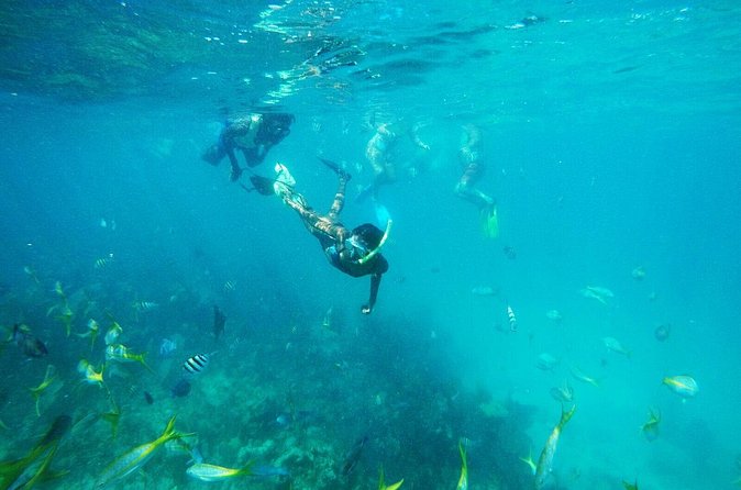 All Inclusive Half Day Sail and Snorkel - How the crew shapes the experience