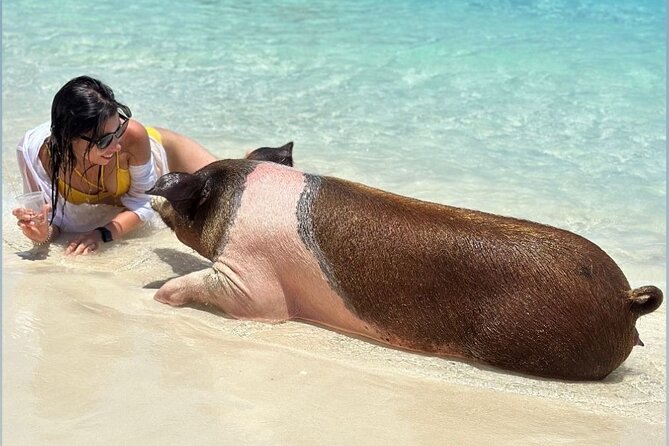 All Inclusive Pig Encounter, Snorkeling, Turtles, Lunch & Beach - A quieter finish at the 007 Beach Club