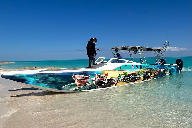 All Inclusive Pig Encounter, Snorkeling, Turtles, Lunch & Beach - Weather, timing, and practical planning