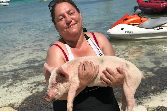 All Inclusive Swimming With The Pigs - The guide can shape the experience