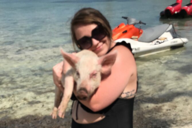 All Inclusive Swimming With The Pigs - Is $150 per person a fair price?