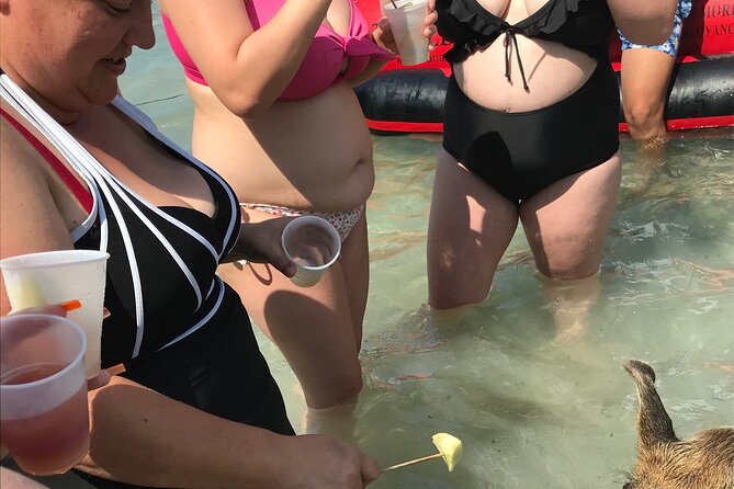 All Inclusive Swimming With The Pigs - Pickup details deserve a careful check