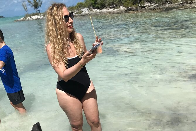 All Inclusive Swimming With The Pigs - A quick look at Paradise Island and its famous homes