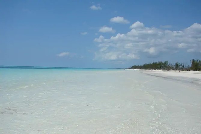 Around Town/Bahamian Cooking Experience - Bahamian Brewery and Island Flavors