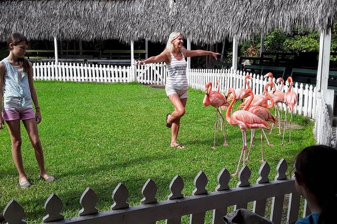 At YOUR Pace Private Tours V.I.P - Nassau, Bahamas - Fort Montagu, Fort Charlotte, and Fort Fincastle