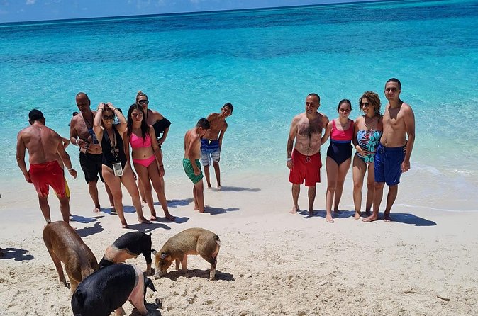 Athol Island Swimming Pigs Half-Day Boat Tour with Lunch - Lunch is useful, but you must request it