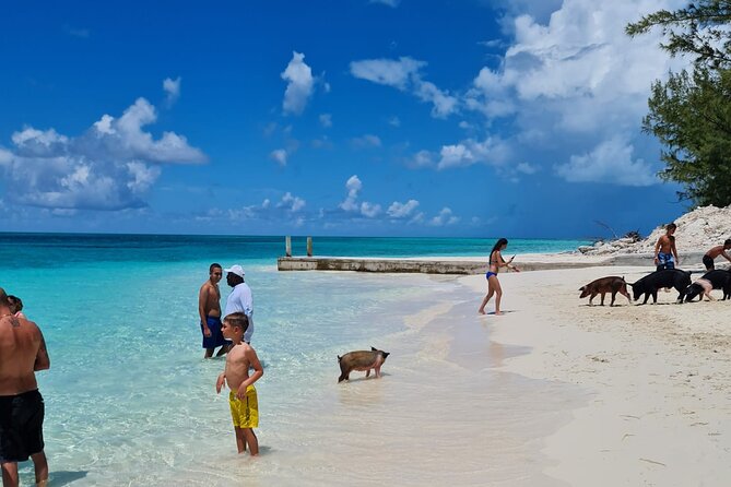 Athol Island Swimming Pigs Half-Day Boat Tour with Lunch - Pearl Island brings the first reef stop