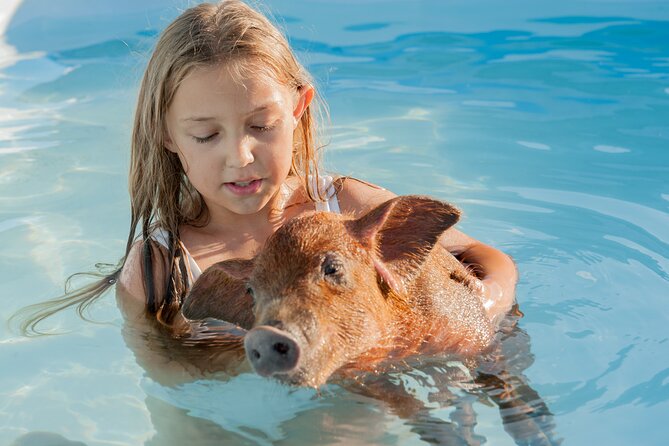 Bahamas Adventure: Pigs, Reef, Turtles, and Beach with Lunch - What the $299 price really buys