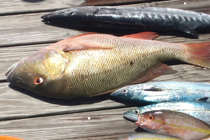 Bahamas Deep Sea Fishing - Leaving Nassau for clear offshore water