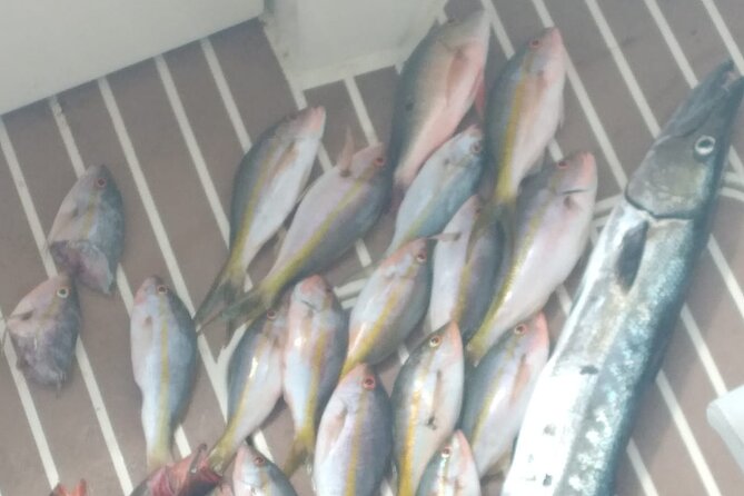 Bahamas Deep Sea Fishing - Reef trolling for snapper and mackerel