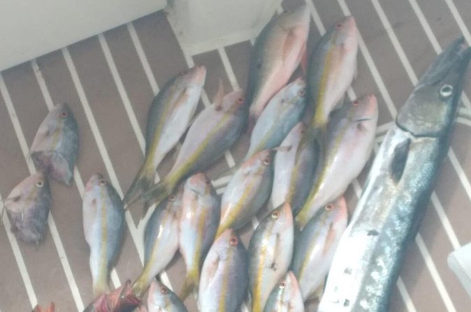 Bahamas Deep Sea Fishing - Drinks are covered, but meals are not