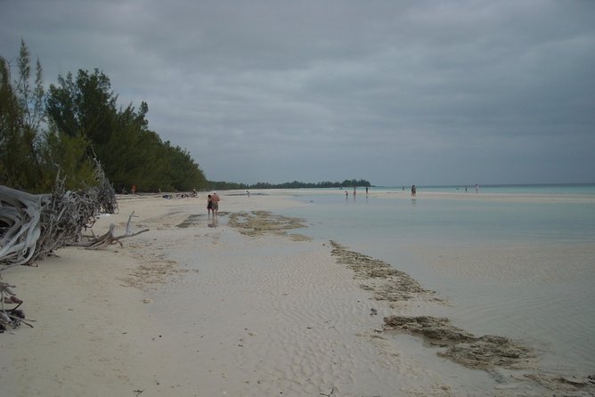 Bahamas Get-A-Round Bus Pass - The biggest concern is communication