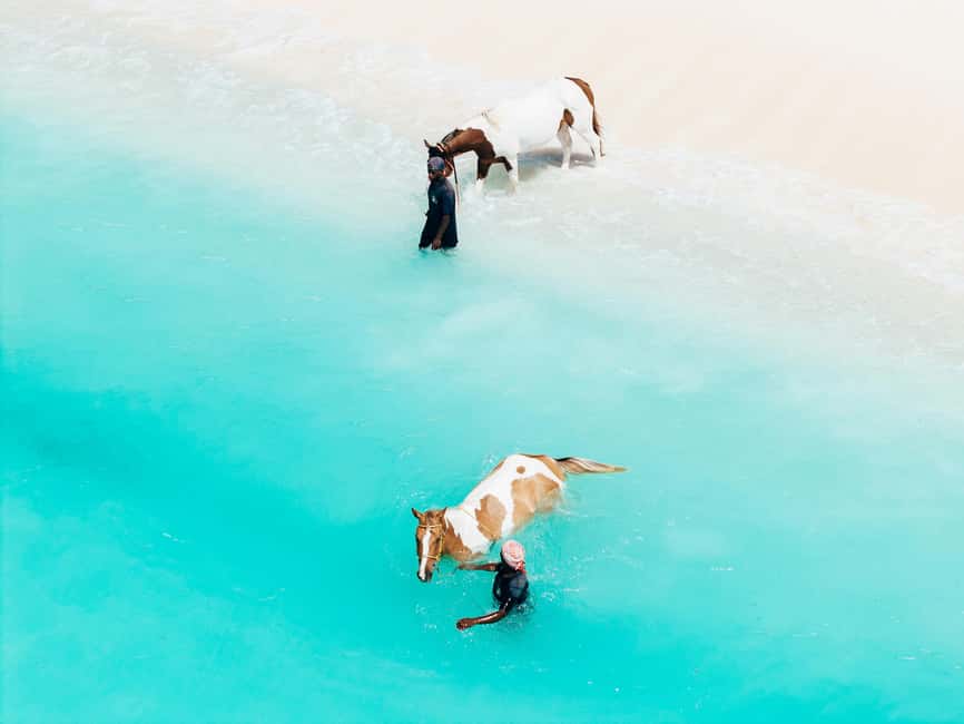 Bahamas: Nassau Horseback Riding on Beaches & Trails - From Nassau ranch to Caribbean water