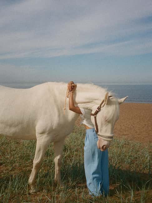Bahamas: Nassau Horseback Riding on Beaches & Trails - Who will enjoy this Nassau ride most?