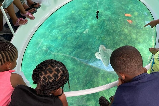 Bahamas on a Semi Submersive Glass Bottom Boat - Meeting at Paradise Island Ferry Terminal