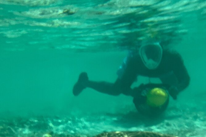 Bahamas Sea Scooter Snorkeling Adventure - Finding turtles, rays, and reef life