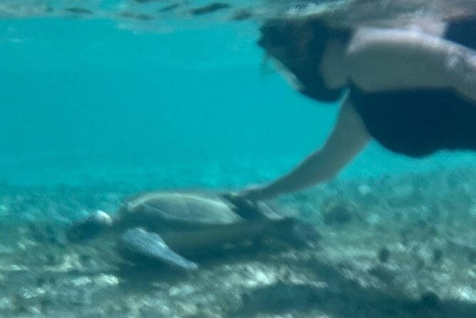 Bahamas Sea Scooter Snorkeling Adventure - What the six-hour day feels like