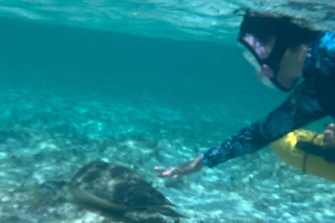 Bahamas Sea Scooter Snorkeling Adventure - Pickup and meeting point: the part to handle carefully