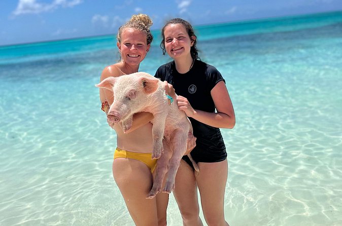 Bahamas Swimming Pigs Experience on Rose Island - Lunch and the Rest of Your Island Time