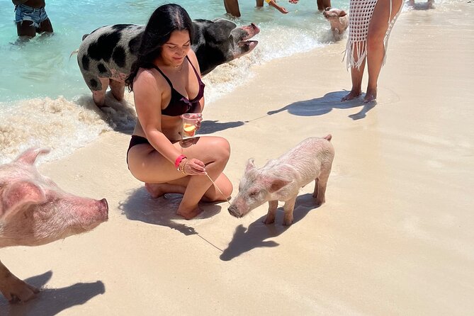 Bahamas Swimming Pigs Experience on Rose Island - Who Will Enjoy This Most?