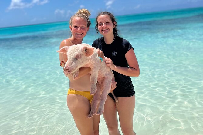Bahamas Swimming Pigs Experience on Rose Island - Weather, Cancellations, and Practical Tips