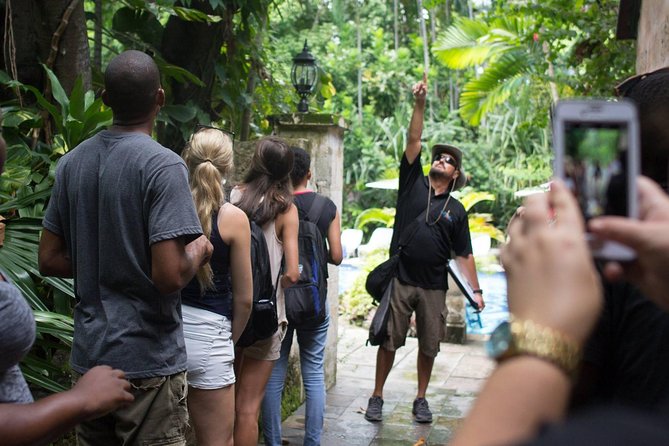 Bites of Nassau Food and Walking Tour - The Guides Make the Difference