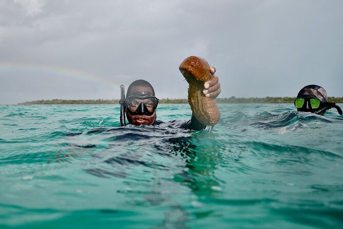 Blue hole, drift snorkeling, turtles Celebration Key is welcome - Sweetings Cay, beach time, and the meal question
