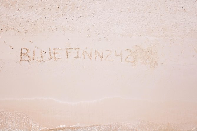 Bluefinn242 Swim with the Turtles in Nassau Bahamas - Beach time adds a welcome change of pace