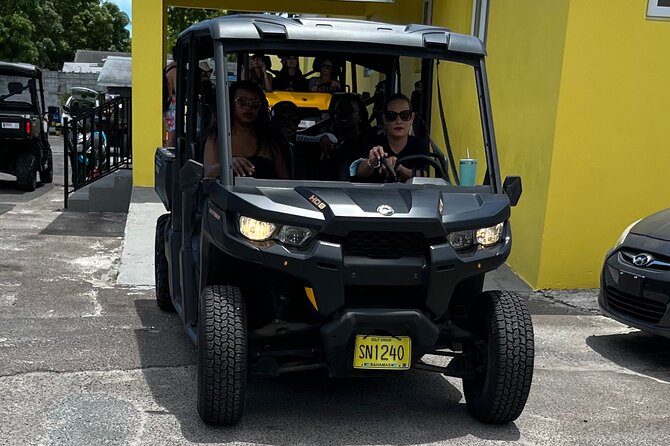 Buggy Rental (with Drop-off, Pick-up around New Providence) - Who will enjoy this most?