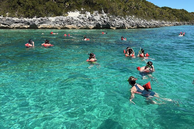 Catamaran Snorkel & Beach Day with Turtles - Reef snorkeling near Atholl Island