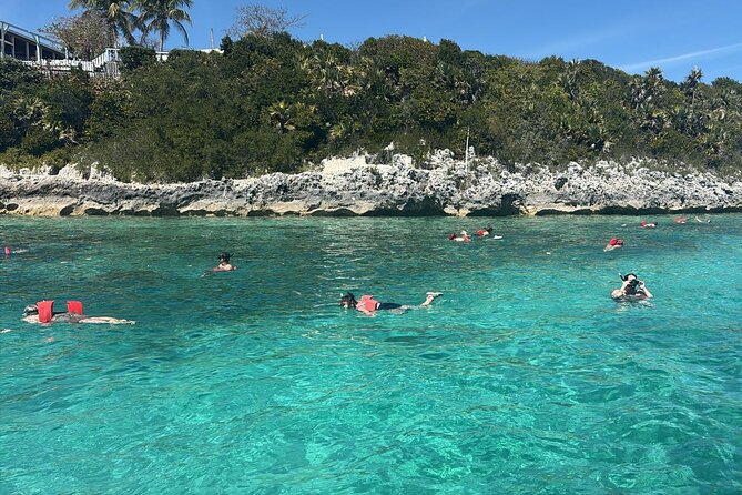 Catamaran Snorkel & Beach Day with Turtles - The main risk is the 10-person minimum