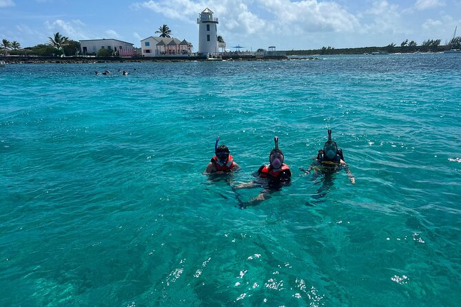 Catamaran Snorkel & Beach Day with Turtles - Green Cay Sanctuary is the turtle stop