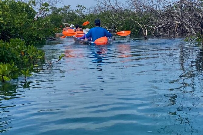 Clear Kayak Tour - Why the clear kayaks change the experience