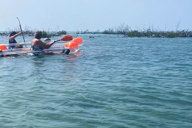 Clear Kayak Tour - Safety instructions before the paddle