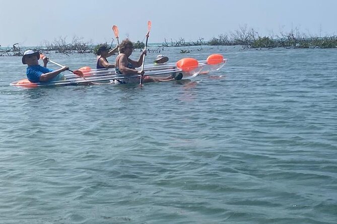 Clear Kayak Tour - Who will enjoy this tour most